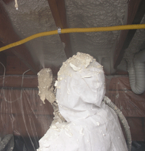 Minneapolis MN crawl space insulation